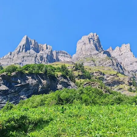 Apartamento Alpine Siesta *
