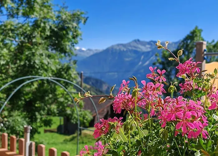 Alpine Siesta לויקרבאד